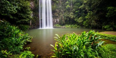 The famous Millaa Millaa waterfall in the Atherton Tablelands area of Queensland, Australia